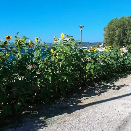 Lägenhetshotell Iro